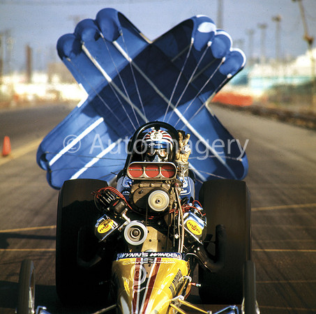 31_1970_snake