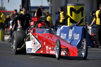 1942-03619