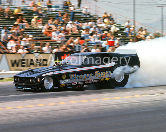 Plueger & Gyger 1973