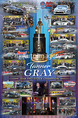 2018.Gray.Champ.16x24