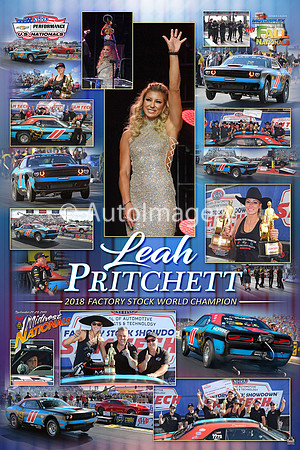 2018.Pritchett.Champ.16x24 (1)