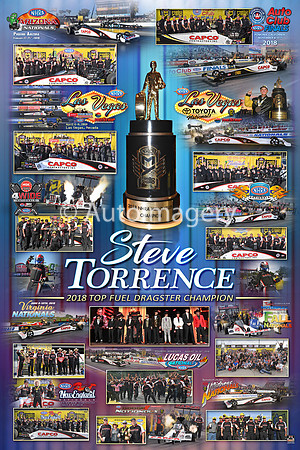 2018.Torrence.Champ.16x24 (1)