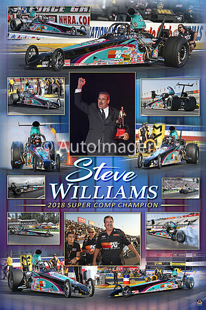 2018.Williams.Champ.16x24